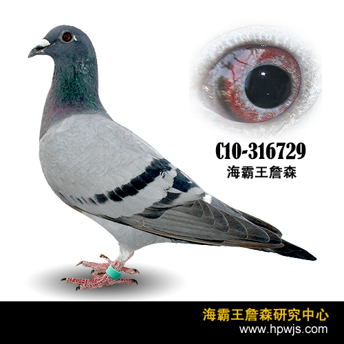 MV 第704页