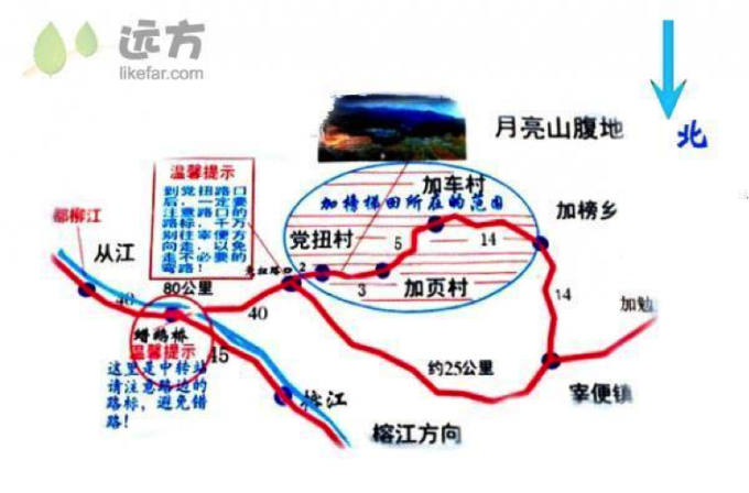 2024年10月20日 第20页