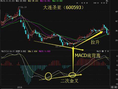 洞悉市场走势，最新股市预测与投资机会把握