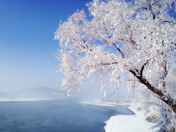 11月2日雪落锦，自然之美的盛宴