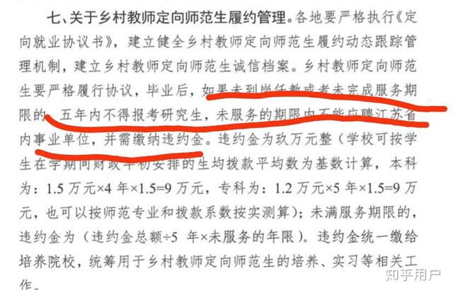 11月5日最新师编制，编织友谊与陪伴的日常故事