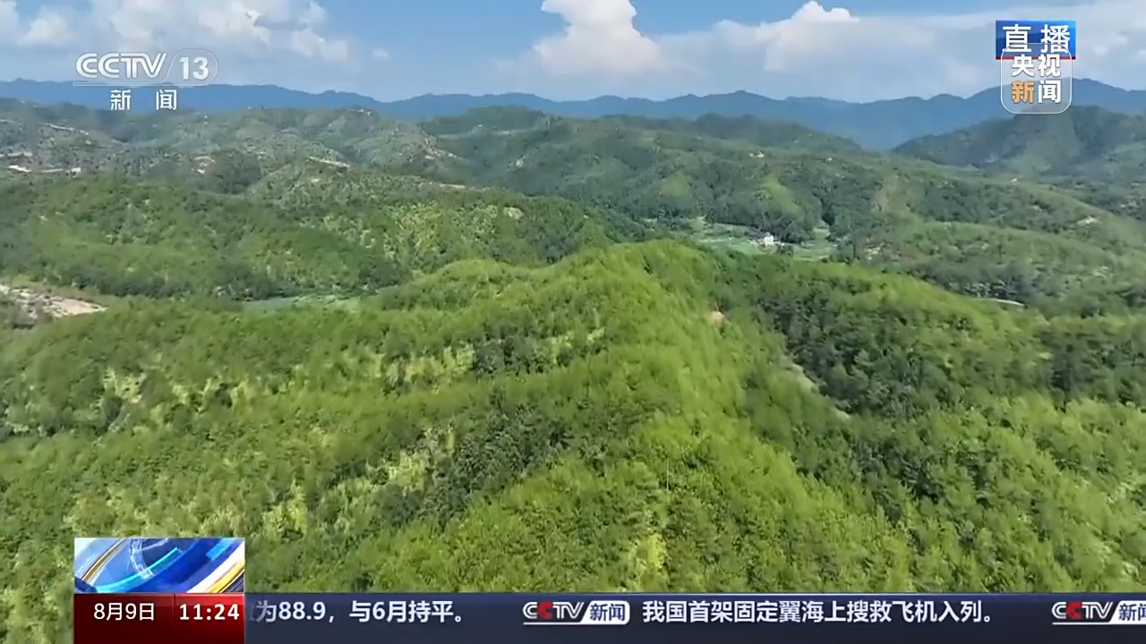 新邵县11月新闻全攻略，最新资讯一网打尽