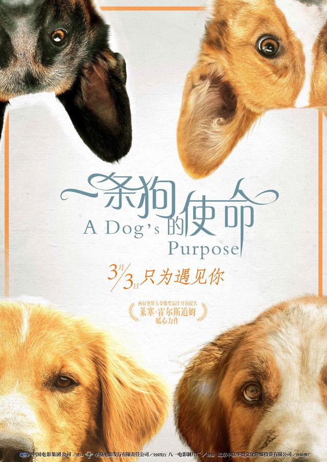 2024年12月 第423页