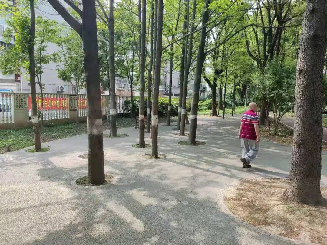 S8体温实时监测技术，守护健康的当下与未来展望