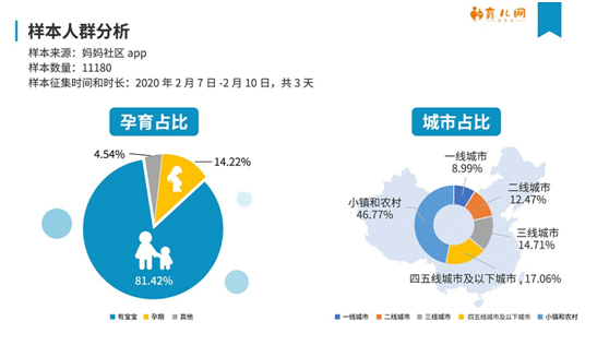 深度分析与解读