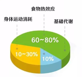 实时热量计算公式，精准掌握摄入与消耗的热量数据