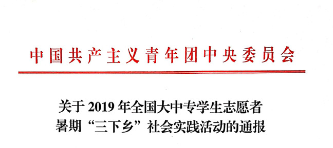 强化网上正面宣传的策略与实践，打造影响力高地