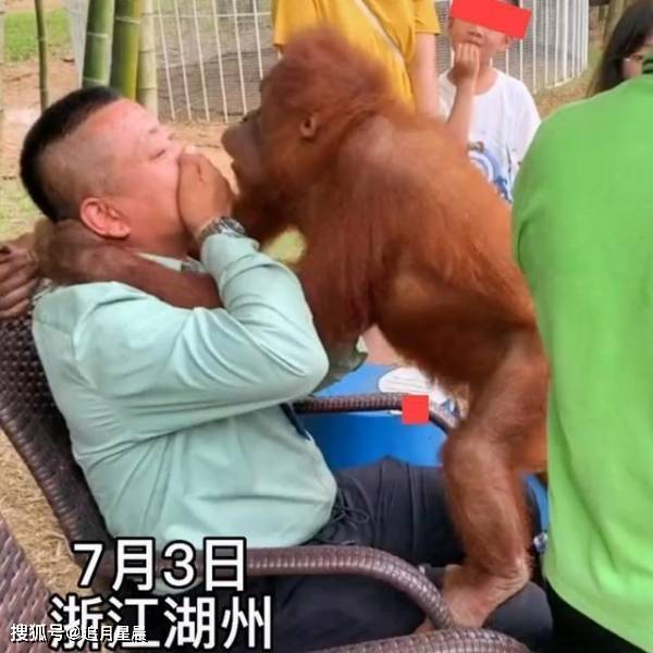小家碧玉 第2页
