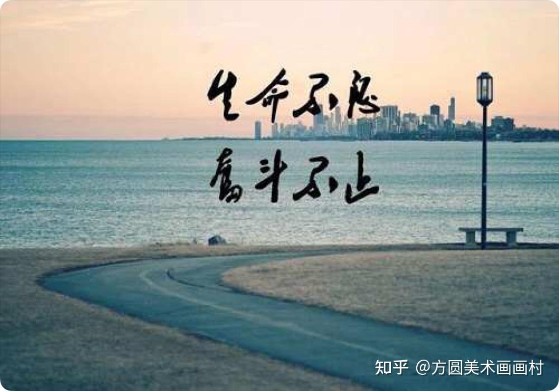 走马观花 第2页