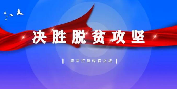2025年2月6日 第7页