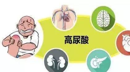2025年2月 第97页
