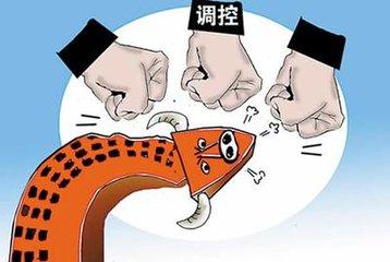 2025年3月13日 第5页