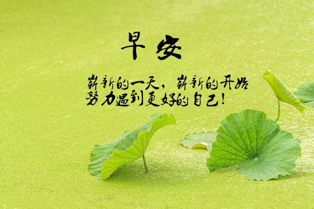 逸兴遄飞