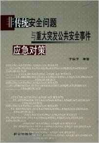 总统车队遇突发状况，安全挑战及应对策略揭秘