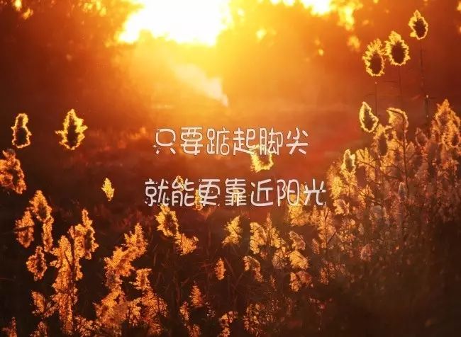 励志语录照亮人生，分享生活的光芒与希望