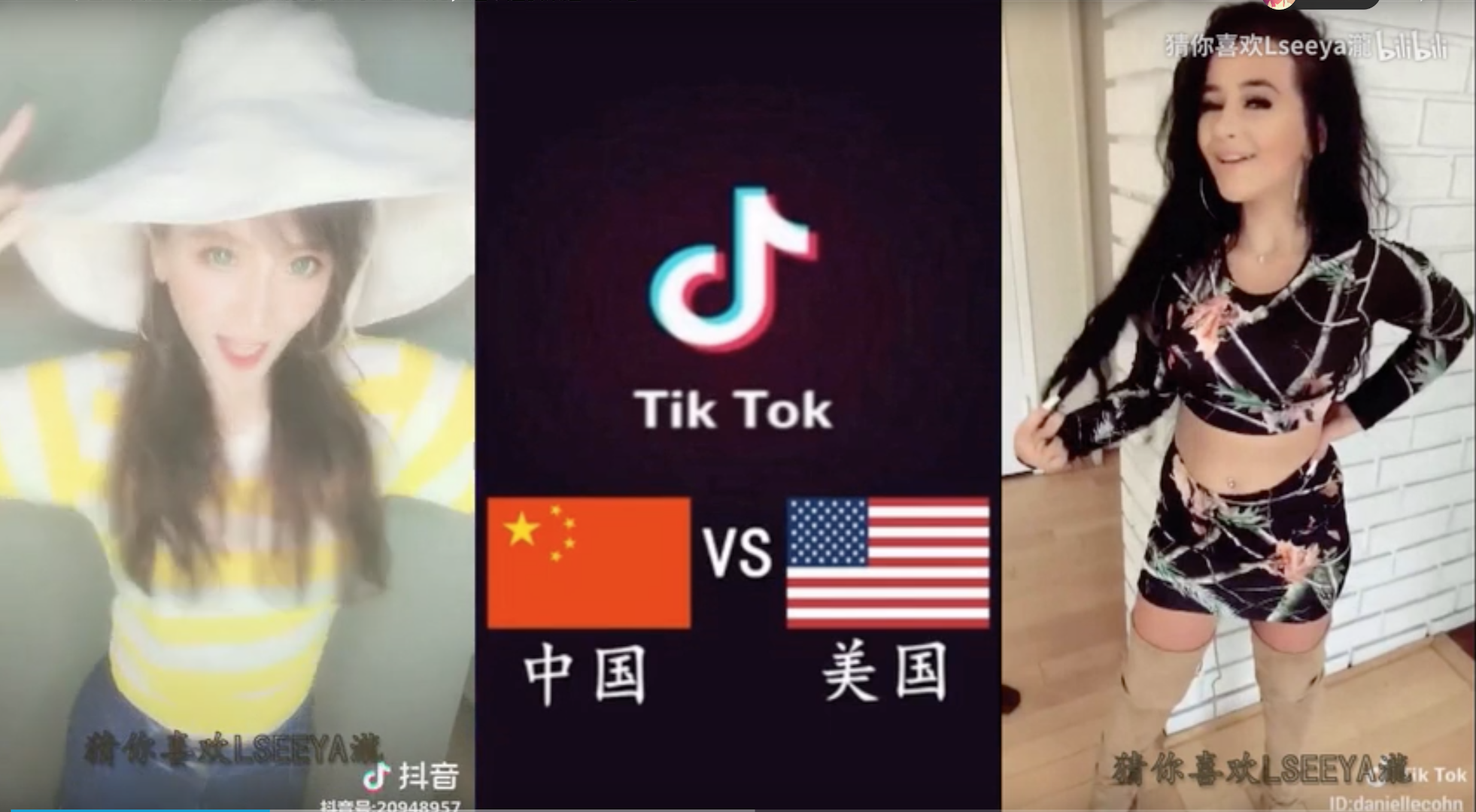 Vlog全球排名揭秘，探索视频日志的无限魅力